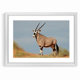 Majestic Antelope in the Wild – Graceful African Wildlife Canvas Art