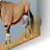 Majestic Antelope in the Wild – Graceful African Wildlife Canvas Art