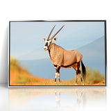 Majestic Antelope in the Wild – Graceful African Wildlife Canvas Art