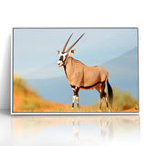 Majestic Antelope in the Wild – Graceful African Wildlife Canvas Art