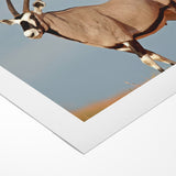 Majestic Antelope in the Wild – Graceful African Wildlife Canvas Art
