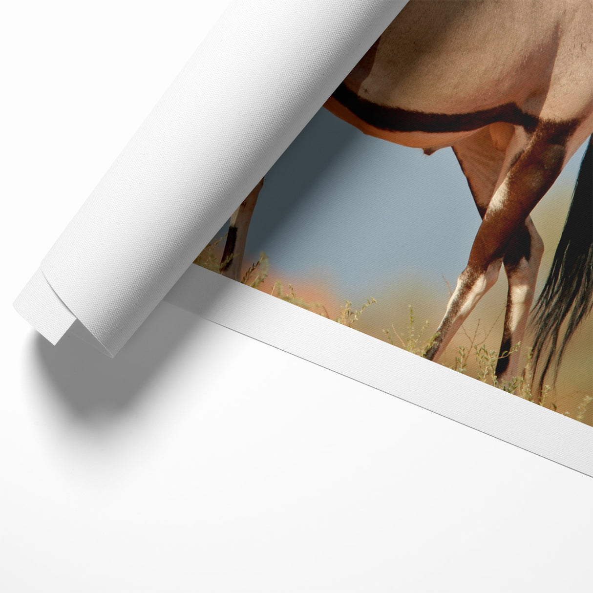 Majestic Antelope in the Wild – Graceful African Wildlife Canvas Art
