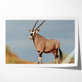 Majestic Antelope in the Wild – Graceful African Wildlife Canvas Art