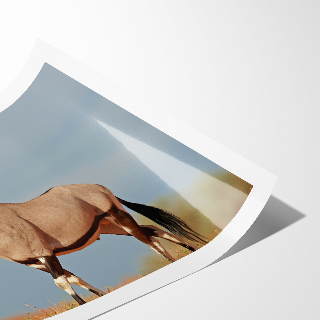 Majestic Antelope in the Wild – Graceful African Wildlife Canvas Art