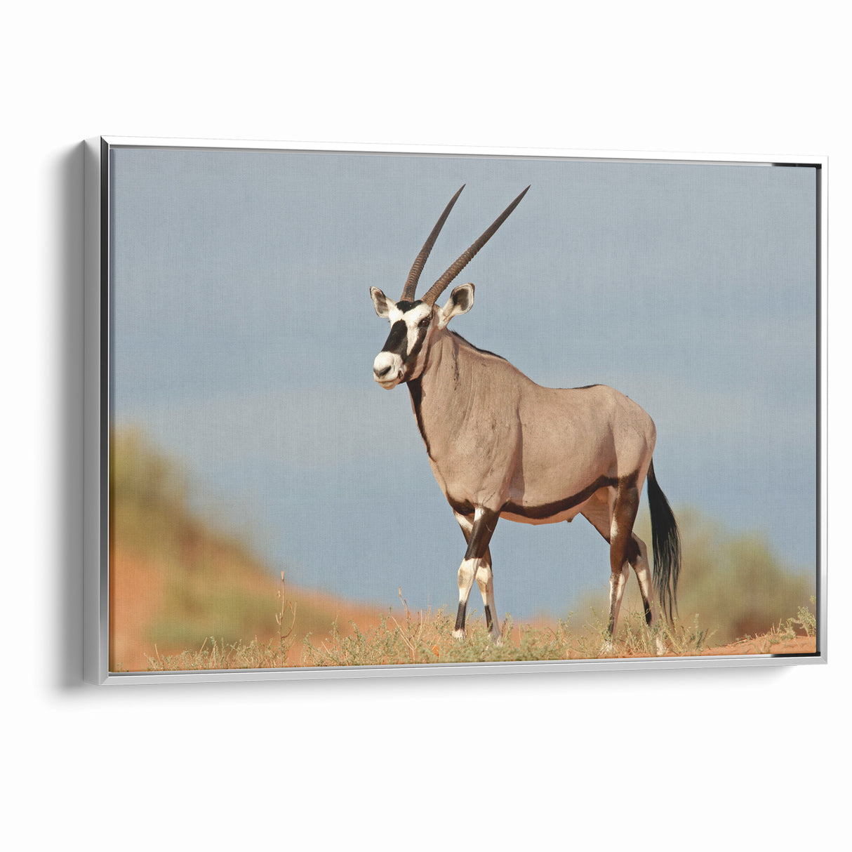 Majestic Antelope in the Wild – Graceful African Wildlife Canvas Art