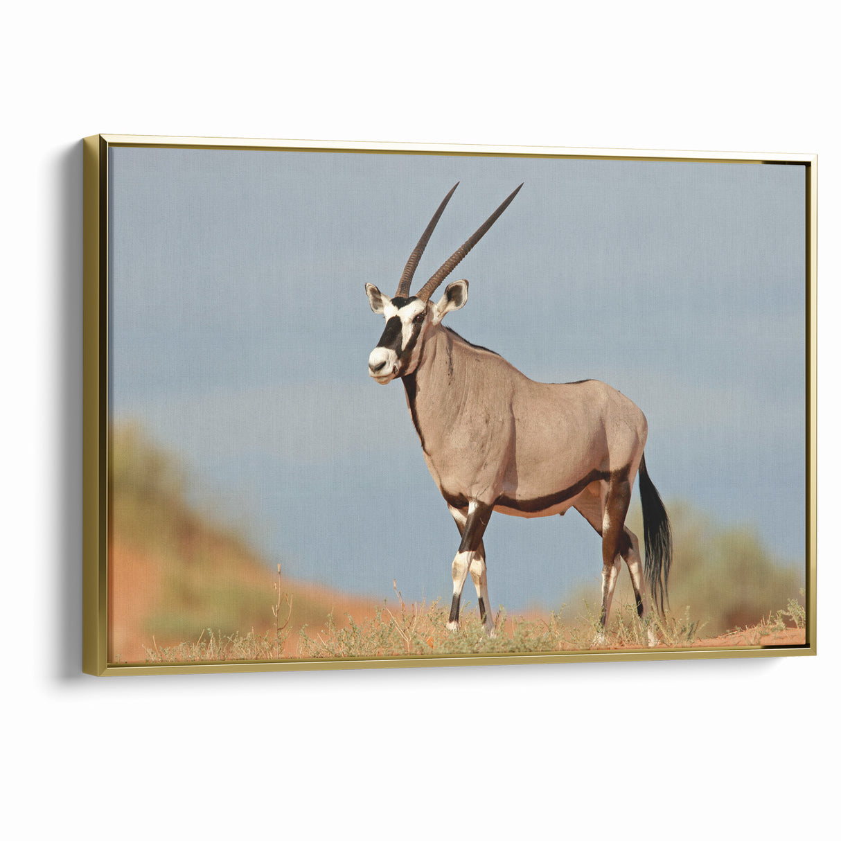 Majestic Antelope in the Wild – Graceful African Wildlife Canvas Art