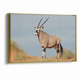 Majestic Antelope in the Wild – Graceful African Wildlife Canvas Art