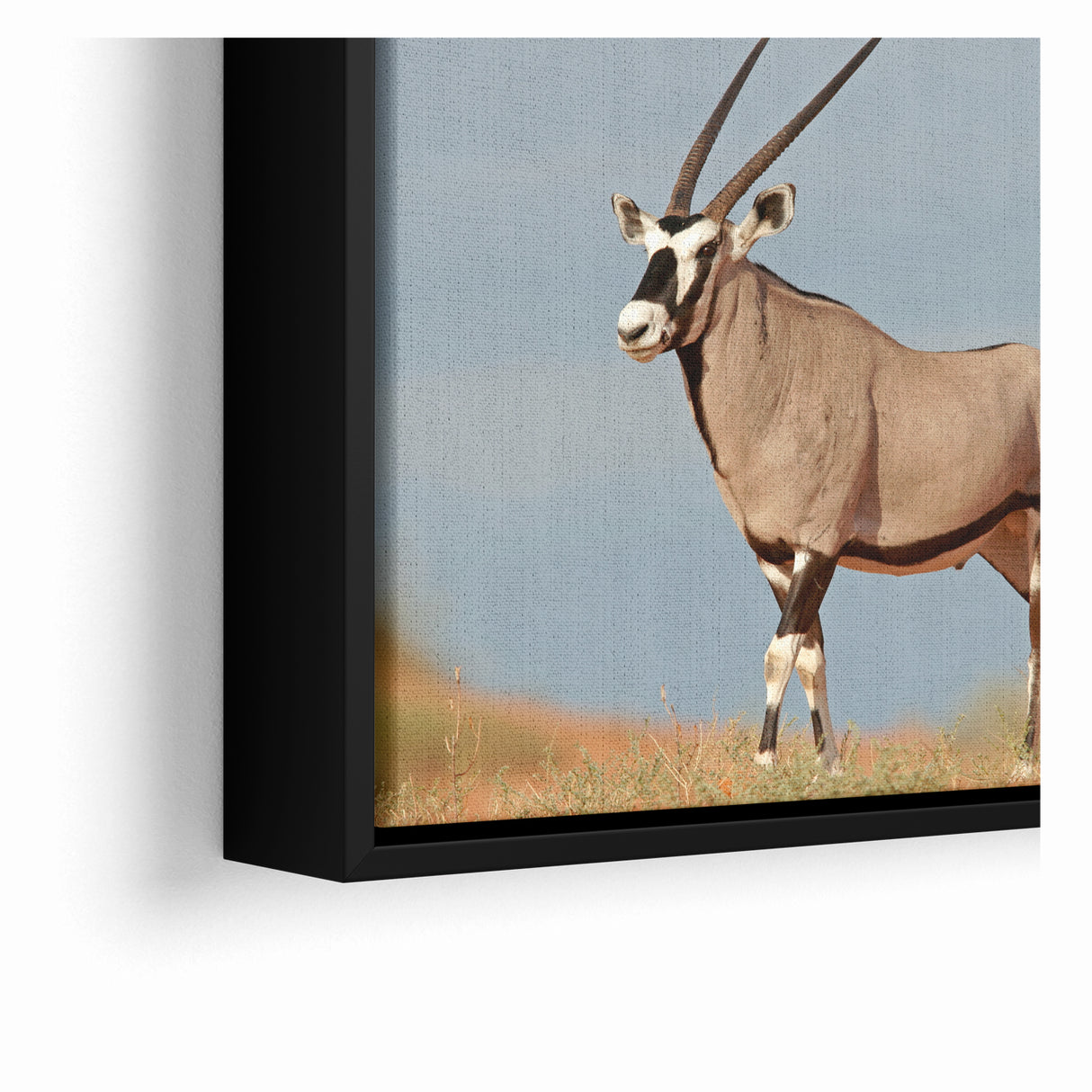 Majestic Antelope in the Wild – Graceful African Wildlife Canvas Art