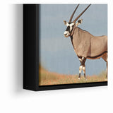 Majestic Antelope in the Wild – Graceful African Wildlife Canvas Art