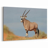 Majestic Antelope in the Wild – Graceful African Wildlife Canvas Art
