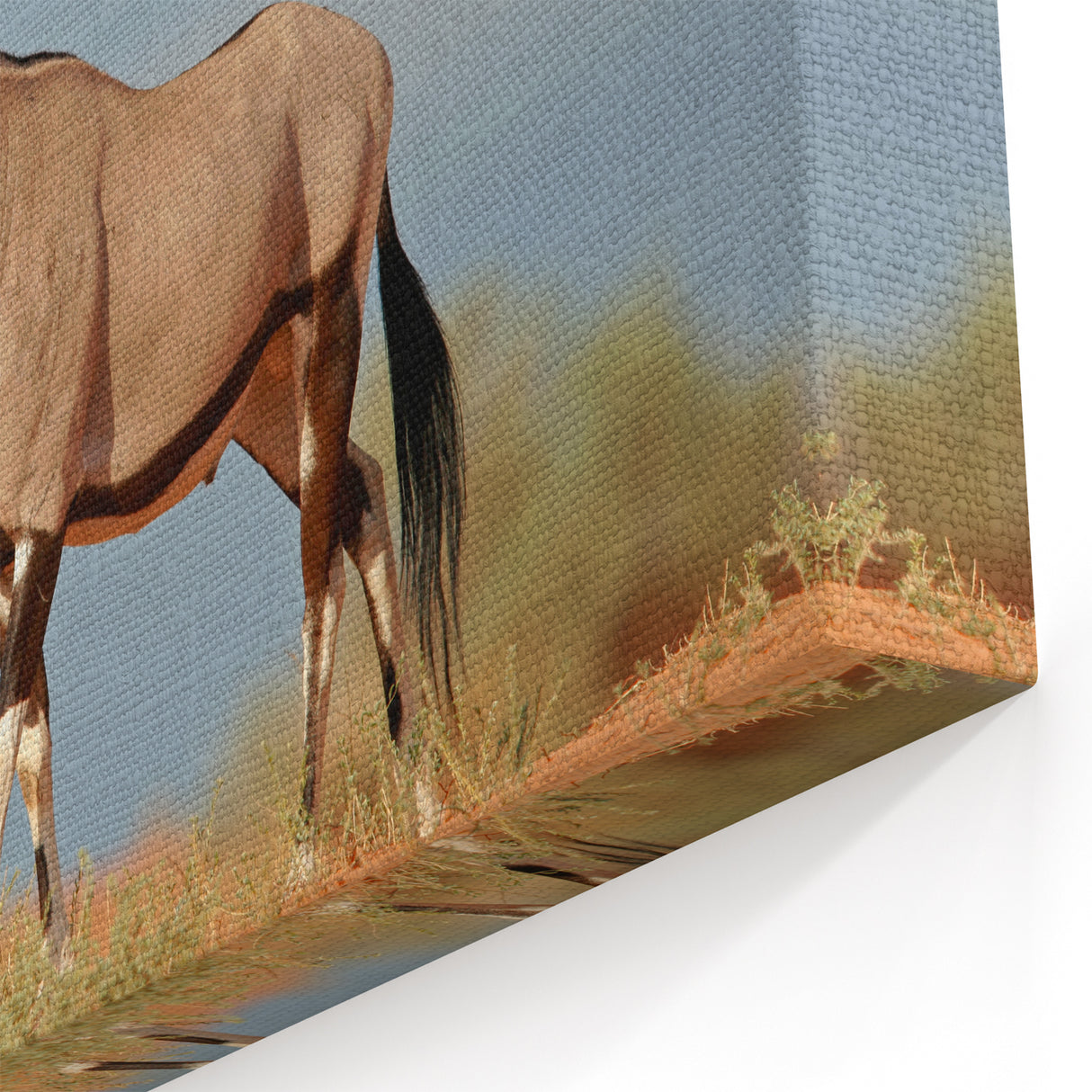 Majestic Antelope in the Wild – Graceful African Wildlife Canvas Art