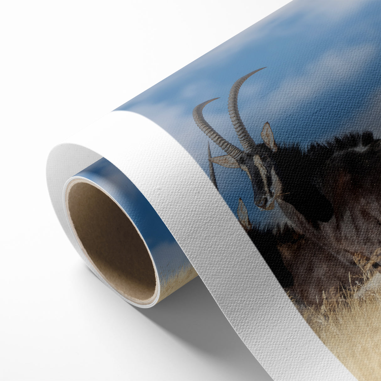 Bold Antelope Herd in the Grasslands – Striking Wildlife Canvas Art