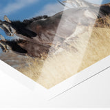 Bold Antelope Herd in the Grasslands – Striking Wildlife Canvas Art