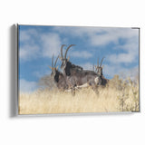 Bold Antelope Herd in the Grasslands – Striking Wildlife Canvas Art