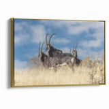 Bold Antelope Herd in the Grasslands – Striking Wildlife Canvas Art