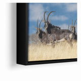 Bold Antelope Herd in the Grasslands – Striking Wildlife Canvas Art