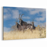 Bold Antelope Herd in the Grasslands – Striking Wildlife Canvas Art