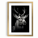 Majestic Antelope Portrait in Black and White – Stunning Canvas Art