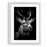 Majestic Antelope Portrait in Black and White – Stunning Canvas Art