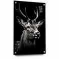 Majestic Antelope Portrait in Black and White – Stunning Canvas Art
