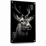 Majestic Antelope Portrait in Black and White – Stunning Canvas Art