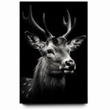 Majestic Antelope Portrait in Black and White – Stunning Canvas Art