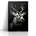 Majestic Antelope Portrait in Black and White – Stunning Canvas Art