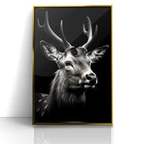 Majestic Antelope Portrait in Black and White – Stunning Canvas Art