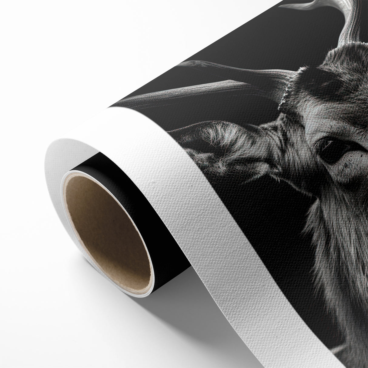 Majestic Antelope Portrait in Black and White – Stunning Canvas Art
