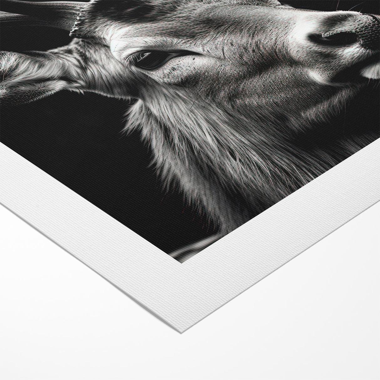 Majestic Antelope Portrait in Black and White – Stunning Canvas Art