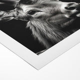 Majestic Antelope Portrait in Black and White – Stunning Canvas Art