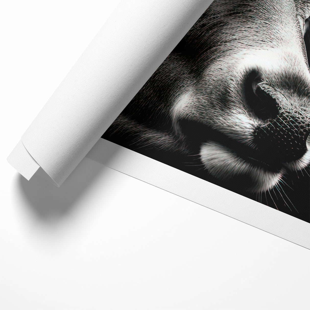 Majestic Antelope Portrait in Black and White – Stunning Canvas Art