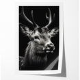 Majestic Antelope Portrait in Black and White – Stunning Canvas Art