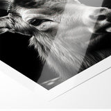 Majestic Antelope Portrait in Black and White – Stunning Canvas Art