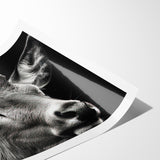 Majestic Antelope Portrait in Black and White – Stunning Canvas Art
