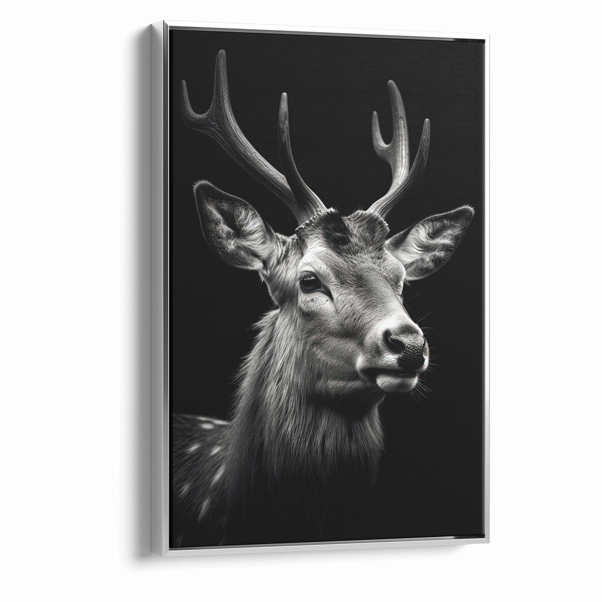 Majestic Antelope Portrait in Black and White – Stunning Canvas Art