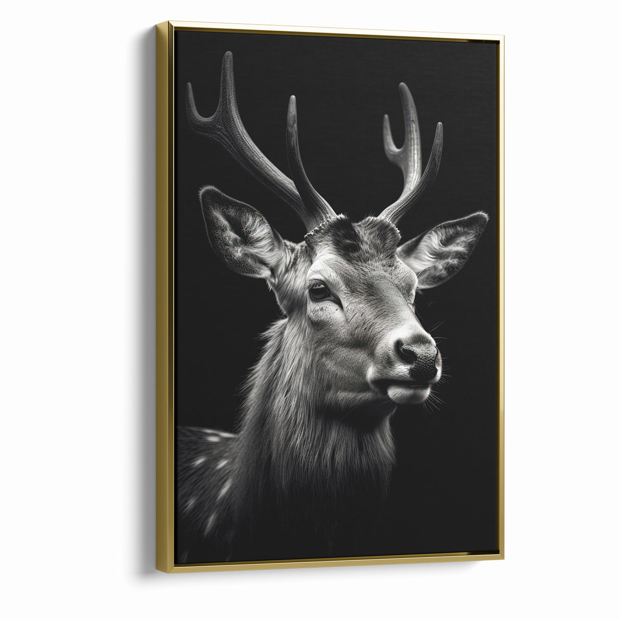 Majestic Antelope Portrait in Black and White – Stunning Canvas Art