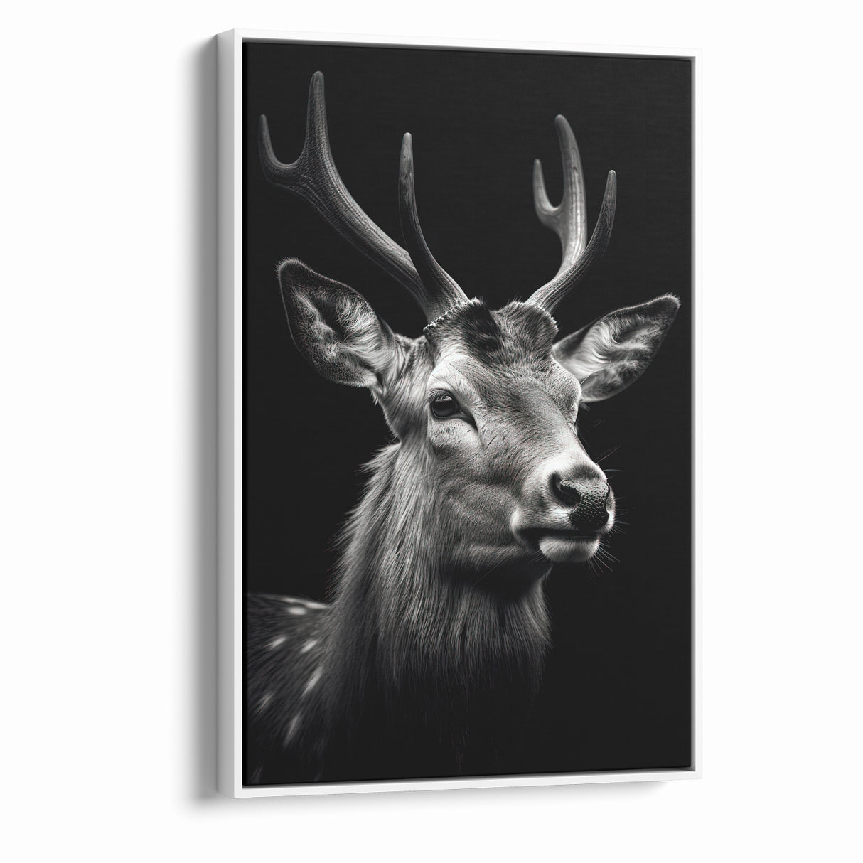 Majestic Antelope Portrait in Black and White – Stunning Canvas Art