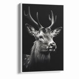 Majestic Antelope Portrait in Black and White – Stunning Canvas Art