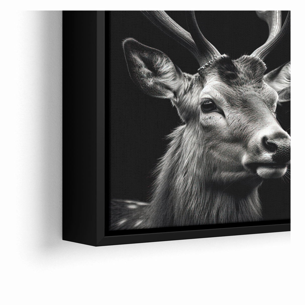 Majestic Antelope Portrait in Black and White – Stunning Canvas Art
