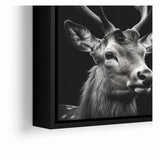 Majestic Antelope Portrait in Black and White – Stunning Canvas Art