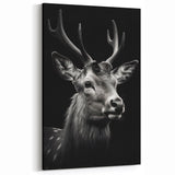 Majestic Antelope Portrait in Black and White – Stunning Canvas Art