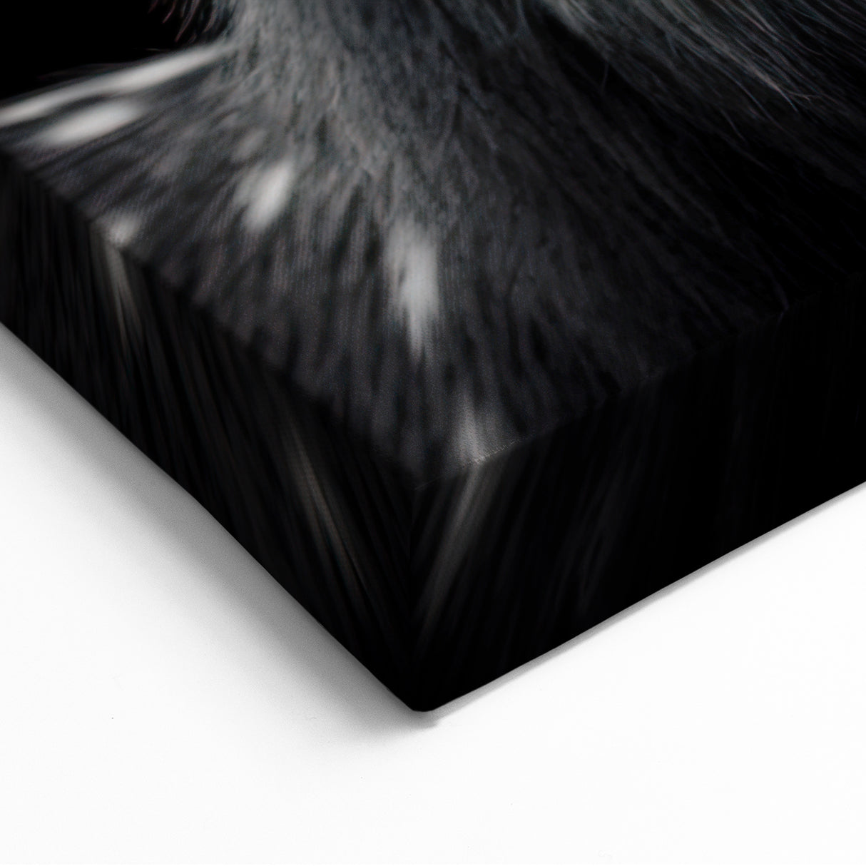 Majestic Antelope Portrait in Black and White – Stunning Canvas Art