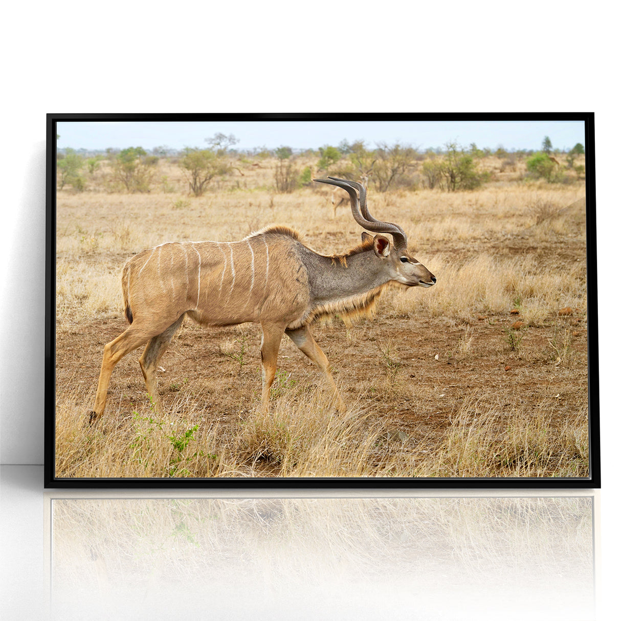 Graceful Antelope in the Savannah – Captivating Wildlife Canvas Art
