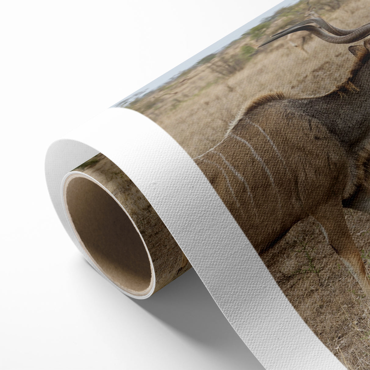 Graceful Antelope in the Savannah – Captivating Wildlife Canvas Art