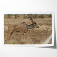 Graceful Antelope in the Savannah – Captivating Wildlife Canvas Art