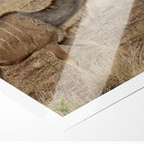 Graceful Antelope in the Savannah – Captivating Wildlife Canvas Art