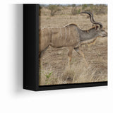 Graceful Antelope in the Savannah – Captivating Wildlife Canvas Art