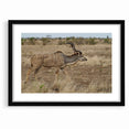 Graceful Antelope in the Savannah – Captivating Wildlife Canvas Art