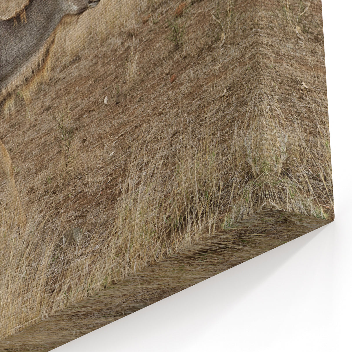 Graceful Antelope in the Savannah – Captivating Wildlife Canvas Art